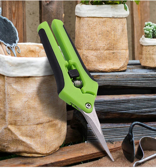 Pruning Shears