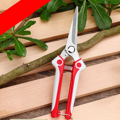 Garden Scissors