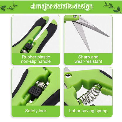 Pruning Shears