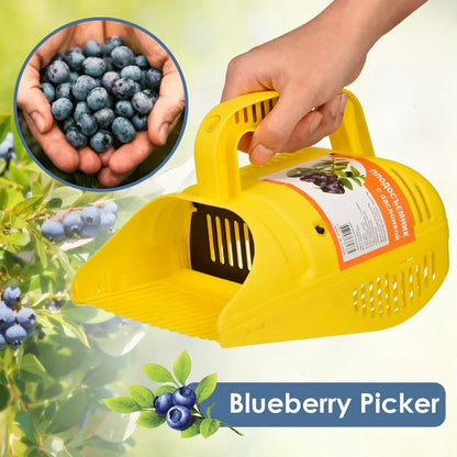 Blueberry Picker