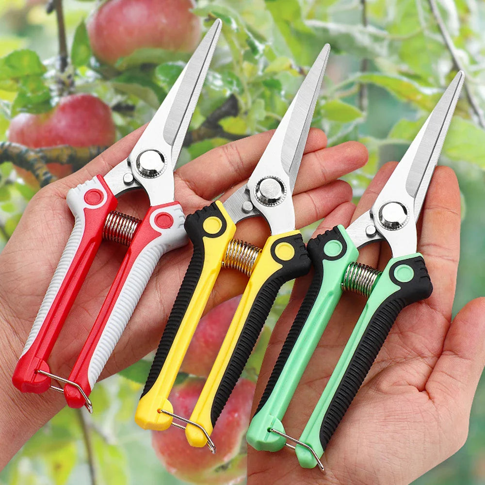 Garden Scissors