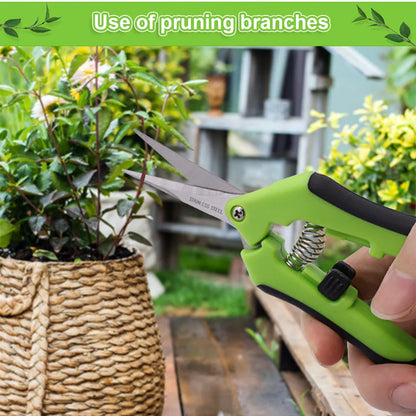 Pruning Shears